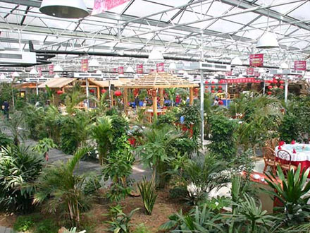 客户案例标题八